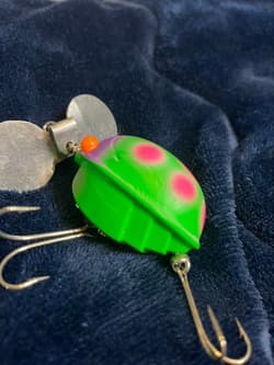 Frog s Ladybug - Thumbnail 5