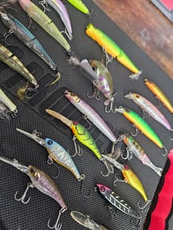 JACKALL Topwater Lure Collection, 40+ Pieces, Fishing Accessories, Japan - Thumbnail 10