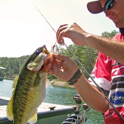 Bass Fishing Spinner Bait Lures, Multicolor Buzzbait Metal Jig 6pcs  - Thumbnail 7