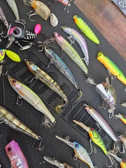 JACKALL Topwater Lure Collection, 40+ Pieces, Fishing Accessories, Japan - Thumbnail 9
