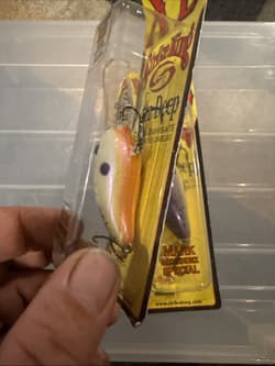 Strike King 3XD Series Moongill Mark Menendez Special XD NIP      Lot Of 2 - Thumbnail 5