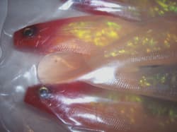 Chesapeake Bay Lure Red Eye Shad 7" Baitfish Umbrella Rig Striper Musky Pike - Thumbnail 3