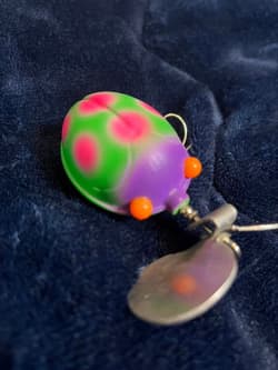 Frog s Ladybug - Thumbnail 1