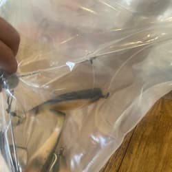 9” Umbrella Rig 4 Arm 11” With 6” Shad (9)  Pearl Black 8/0 Hook Mustad New Pkg - Thumbnail 14