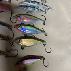 Giant Bundle of 55 Rapala X-Rap Jerkbaits - Top water Awesome Colors and Sizes! - Thumbnail 16