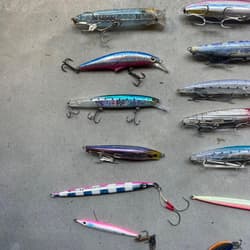 Blue-backed fish, shore jigging, lures, Setupper, Gekito Jig, Rapido, Bullet - Thumbnail 4