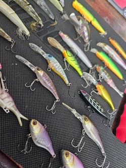 JACKALL Topwater Lure Collection, 40+ Pieces, Fishing Accessories, Japan - Thumbnail 6