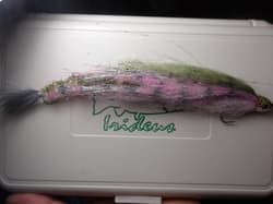 Morone Swimbait Two Soft baby trout drop shot Carolina rig 6 inches - Thumbnail 4