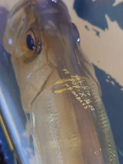 Megabass Ito Pop X Old '98 Gp Phantom - Thumbnail 4