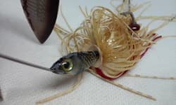 Vtg Bagley SpinnerBait Prizm Image Shad/Wht/Gld 1/2oz  Spinnerbait fishing Lure - Thumbnail 8