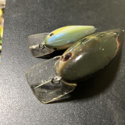 Strike King KVD 8.0 KVD 1.5 Set - Thumbnail 6