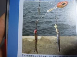 Alabama Rig 5 pcs for bass, saltwater fish, new, domestic - Thumbnail 7