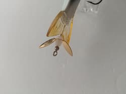 IMAKATSU SG Screw PLUS JDM Japan Joint Glide Swimbait fishing Lure imae NIP new - Thumbnail 4