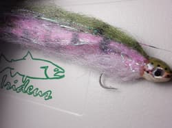 Morone Swimbait Two Soft baby trout drop shot Carolina rig 6 inches - Thumbnail 3