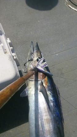 2 Pack High Speed ​​Skirted Wahoo & Tuna Lures Rigged 6ft 150lb Leader Line + Ba - Thumbnail 4