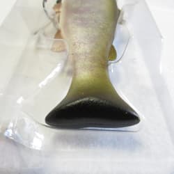 Produced By Kyoya Fujita Jackall Vividus Swimbait 2025 #RT YAMAME (NIP) - Thumbnail 4