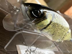 SU × DRT KLASH9 Golden Shiner Color 4oz Big Swimbait Low Float Event Limited JP - Thumbnail 6