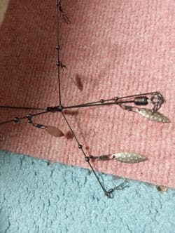 Stealth Seven Stealth Five Vanguard Alabama Rigs 6 Used Bait Fishing Accessories - Thumbnail 8