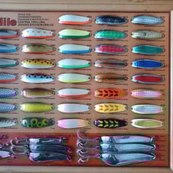 Luar Crocodile Display Frame - Thumbnail 3