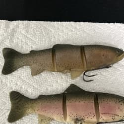 Original Rare Castaic Baits Platinum Series 8” Soft Jointed Trout Swimbait SS - Thumbnail 8