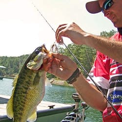 Spinnerbait Bass Fishing Lures Kit,6pcs Spinner Baits Bass Fishing Lures Type A - Thumbnail 8