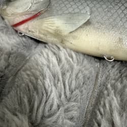 Baitsmith OG  ” kokanne H  swimbait 9” SUPER RARE Red Gills - Thumbnail 10