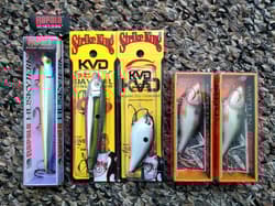 Rapala Huskyjerk Rattlin Strike King KVD Square Bill Sexy Dawg Fishing Lures Lot - Thumbnail 1