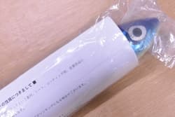 Carpenter Strike Eagle 250 L-Quiet Genkai Sea Special Casting Plug Used - Thumbnail 6