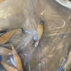 9” Umbrella Rig 4 Arm 11” With 6” Shad (9)  Pearl Black 8/0 Hook Mustad New Pkg - Thumbnail 19