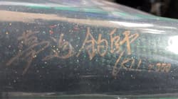 Carpenter Big Lure γ350 Hot Tiger - Thumbnail 4