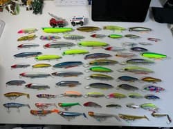 seabass, setupper, jolty, kagerou, silent assassin, kosuke - Thumbnail 2