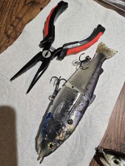 FISHING LURE PACKAGE DEAL GLIDEBAIT JERKBAIT TOP WATER - Thumbnail 10