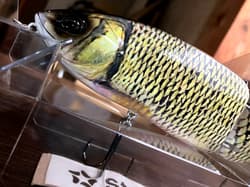 SU × DRT TINY KLASH & KLASH9 Golden Shiner Color Big Swimbait Low Floating Rare - Thumbnail 11