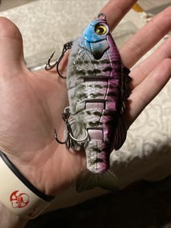 3:16 Lure Co. Swimbait 5 FS Gill Lot Of 2-(1) SS/(1)F BaitWorks Custom Color - Thumbnail 9