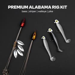 Alabama Rig (A-Rig) Fishing Lures Kit – 2 Rigs, 10 Jig Heads & Swimbaits, Tac... - Thumbnail 4