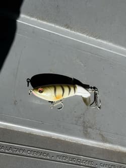 Googan Squad, River2Sea & Strike King Fishing Lure FOR BASS Box Lot (25+ baits) - Thumbnail 11