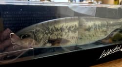 DRT KLASH GHOST DRT BASS Color 8.8oz Giant swimbait Low Float popular colors - Thumbnail 2