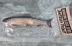 Working Class Zero RARE 11” Battles trout discontinued Swimbait By WCZ - Thumbnail 5