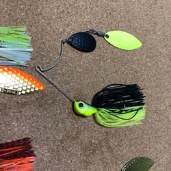 Evergreen D-Zone Spinnerbait Set 1/2oz 3/8oz White Chart Pre-spawn Dynamo Gold - Thumbnail 5