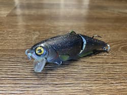 (2) Custom Painted Strike King- King Shad - Thumbnail 2