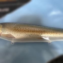 Tomos Lure Lunch Packer 10" Unused Fishing Bait - Thumbnail 3