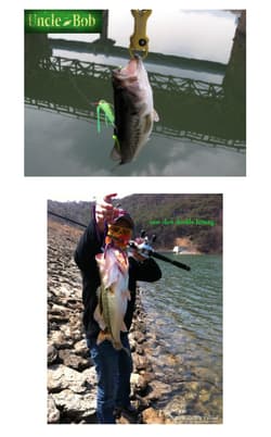 lot of 10ea Duri Fishing Finesse Umbrella (Alabama) Rig - Thumbnail 4