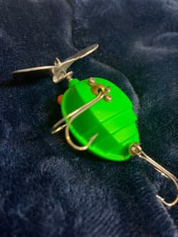 Frog s Ladybug - Thumbnail 7