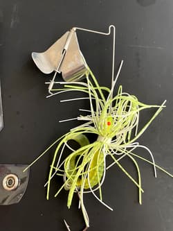 Lot of 4 BUZZBAIT LURES Mixed Colors Bass Fishing with Hand-Made Plastic Cases - Thumbnail 6