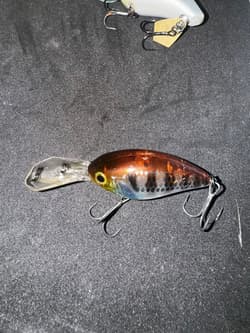 JACKALL Spinnerbait Super Eruption 3.5 Block Ripper Orange/Black Fishing Lure - Thumbnail 3