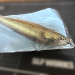 Tomos Lure Lunch Packer 10" Unused Fishing Bait - Thumbnail 5