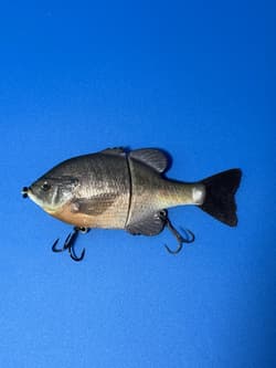 Sly Guy Lures X Swimbait Underground Replica Gill - 6.2" Glide Bait Swimbait - Thumbnail 6