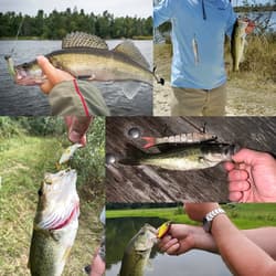 5Pcs Fishing Buzzbait Lures Spinnerbait Fishing Lures Swim Jigs Fishing Lure - Thumbnail 6