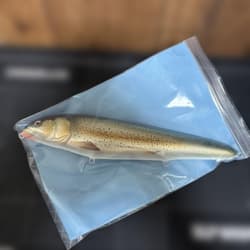 Tomos Lure Lunch Packer 10" Unused Fishing Bait - Thumbnail 1