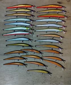 Zaurus Brownie 28 pieces - Thumbnail 1